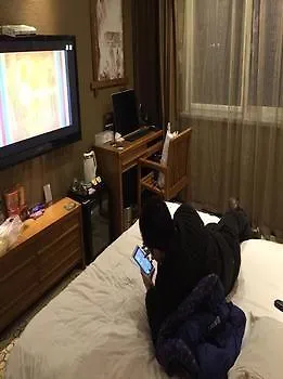 Weila Nika Hotel Puyang  4*, Puyang (Henan)